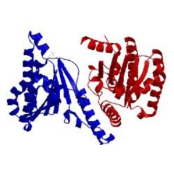 Image of CATH 1f75