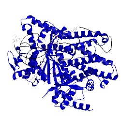 Image of CATH 1f7u
