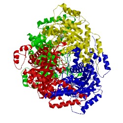 Image of CATH 1f8m