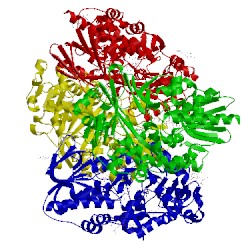 Image of CATH 1f8r