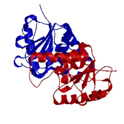 Image of CATH 1f8x