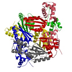 Image of CATH 1f9n