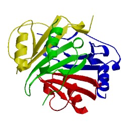 Image of CATH 1f9q