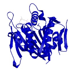 Image of CATH 1f9t