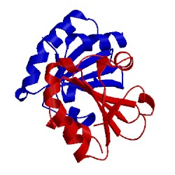 Image of CATH 1fb0
