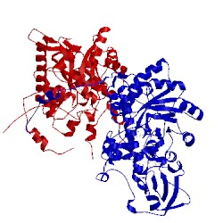 Image of CATH 1fcb