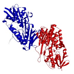 Image of CATH 1fcd