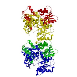 Image of CATH 1fcj