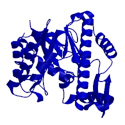 Image of CATH 1fcu