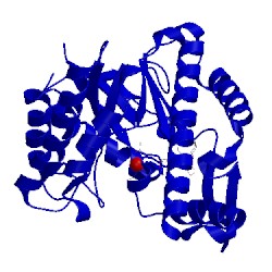 Image of CATH 1fcv