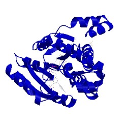 Image of CATH 1fdt