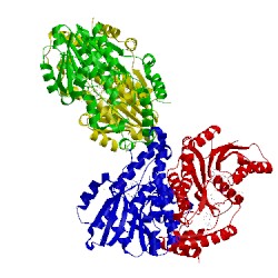 Image of CATH 1fdu