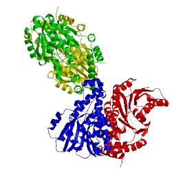 Image of CATH 1fdv