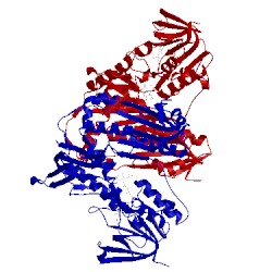 Image of CATH 1fec