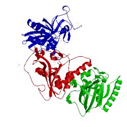 Image of CATH 1ff3