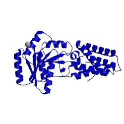 Image of CATH 1ffh