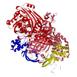 Image of CATH 1ffv