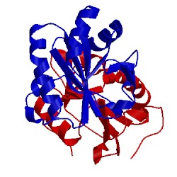 Image of CATH 1fg4