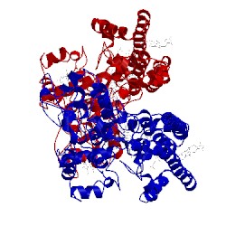 Image of CATH 1fgj