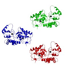 Image of CATH 1fhf