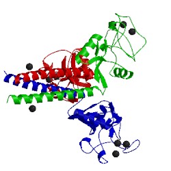 Image of CATH 1fif