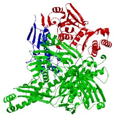 Image of CATH 1fiq
