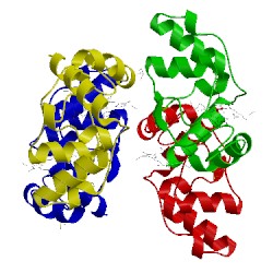 Image of CATH 1fj0