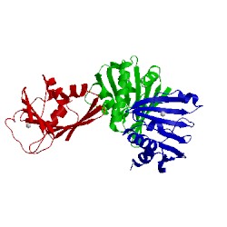 Image of CATH 1fl9