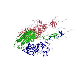 Image of CATH 1flc