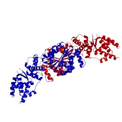 Image of CATH 1fnn