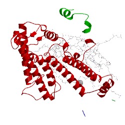 Image of CATH 1fnp