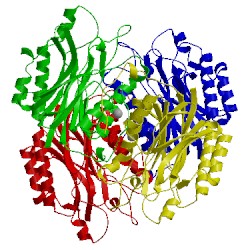 Image of CATH 1fo6