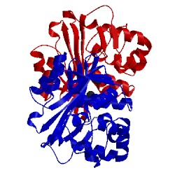 Image of CATH 1fof