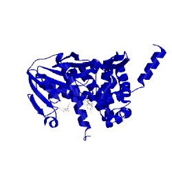 Image of CATH 1fp1