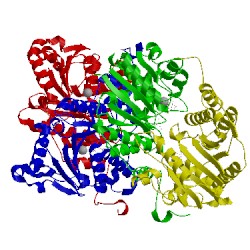 Image of CATH 1fp6