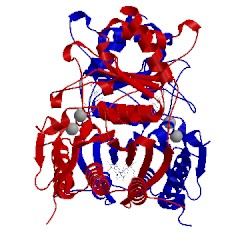 Image of CATH 1fpd