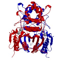 Image of CATH 1fpg