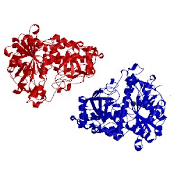 Image of CATH 1fpm