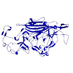 Image of CATH 1fpv