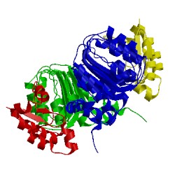 Image of CATH 1fs2