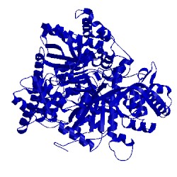 Image of CATH 1fs4