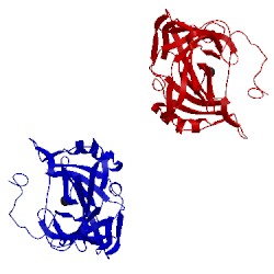 Image of CATH 1fsr