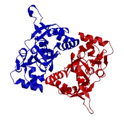 Image of CATH 1fto