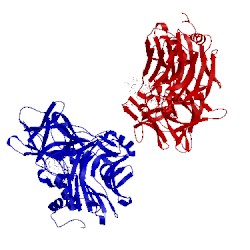 Image of CATH 1fv3