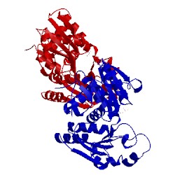 Image of CATH 1fvo