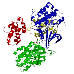 Image of CATH 1fvv