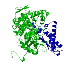 Image of CATH 1fwa