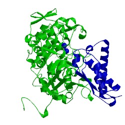 Image of CATH 1fwe