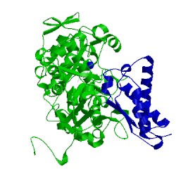 Image of CATH 1fwi