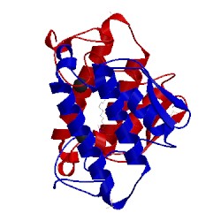 Image of CATH 1fx9